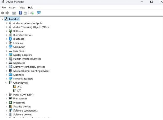 Figura 2 Capitulo 2.1: Administrador de dispositivos